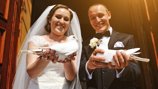 Tauben fliegen zu lassen, macht viele Brautpaare glücklich. (Bild: stock.adobe.com)