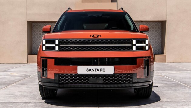 Ein Hyundai Santa Fe: US-Amerikaner können Autos der südkoreanischen Marke künftig auf Amazon ...