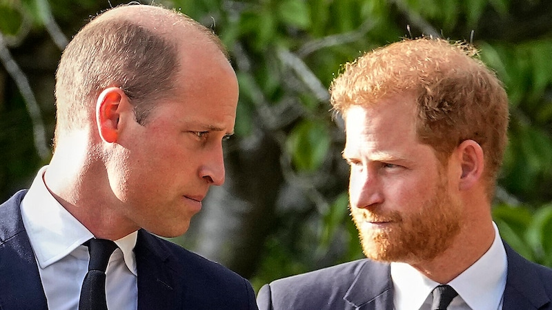 William und Harry sind seit Jahren auf Kriegsfuß (Bild: Martin Meissner / AP / picturedesk.com)