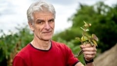 Die Bioinvasoren bereiten dem Forstfachmann Edwin Herzberger Kopfzerbrechen. (Bild: Imre Antal)