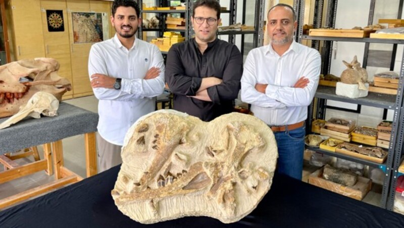 Die Forscher (ganz rechts Hescham Sallam) mit den fossilen Überresten des Ur-Wals Tutcetus rayanensis (Bild: AFP/American University in Cairo)