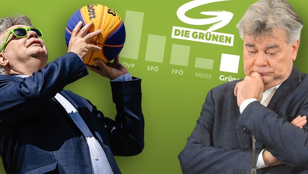 Werner Kogler führte die Grünen zurück ins Parlament. Bleibt er bis zur Wahl 2024? (Bild: Krone KREATIV, Mario Urbanschitz, SEPA.Media)