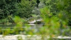 Am Weikerlsee wurden leicht erhöhte Keimwerte festgestellt. (Bild: Dostal Harald)