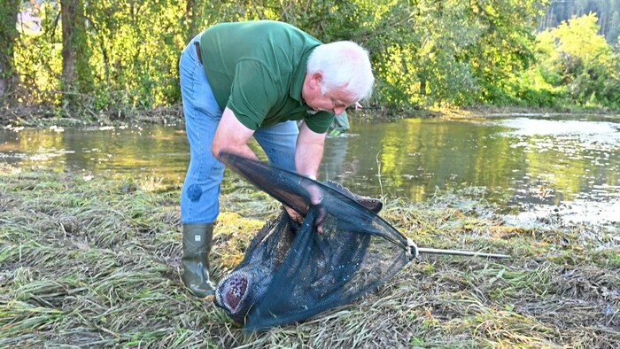 Der Prachtkerl wiegt 25 Kilo.
