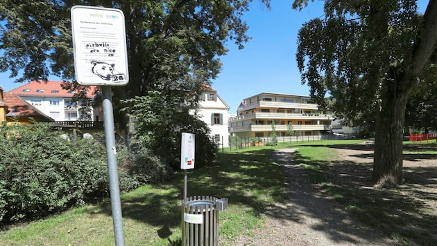 (Bild: Juergen Radspieler)