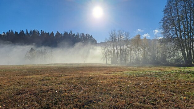 Moor im Naturpark Nagelfluhkette. (Bild: Naturpark Nagelfluhkette)