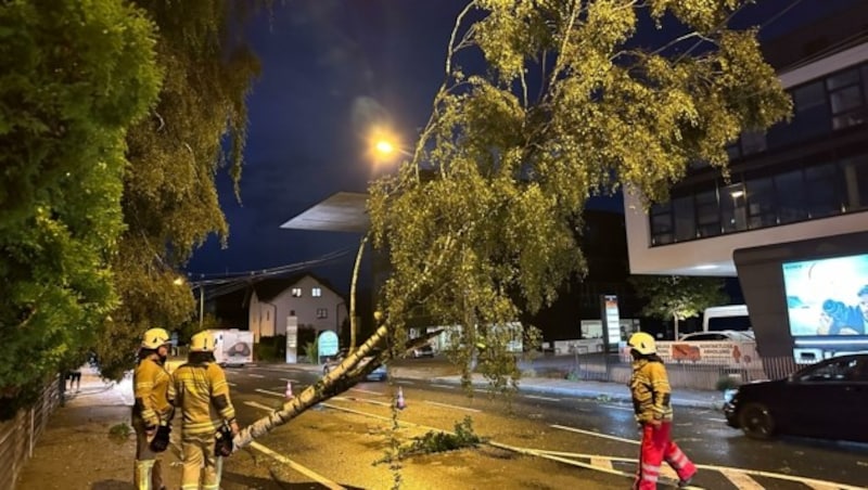 Die Berufsfeuerwehr musste bis tief in die Nacht zahlreiche Bäume von der Straße und von Oberleitungen entfernen. (Bild: Tschepp Markus)