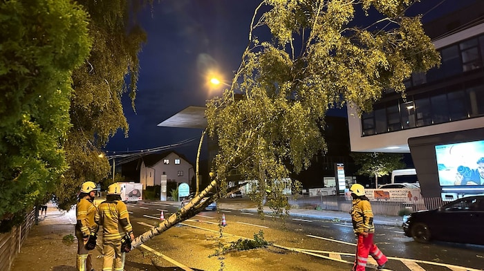 Die Berufsfeuerwehr musste bis tief in die Nacht zahlreiche Bäume von der Straße und von Oberleitungen entfernen.