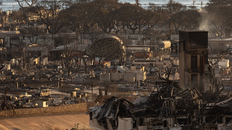 Forest fires in August 2023 (Bild: APA/AFP/Yuki IWAMURA)