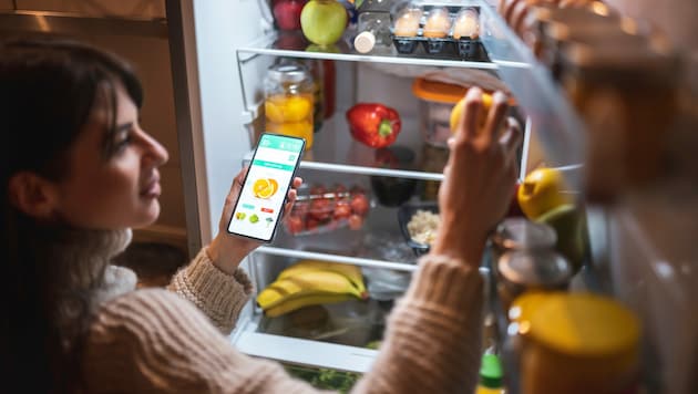 Einfach Zutaten eingeben, die man noch zu Hause hat, schon generiert die KI einer Supermarktkette daraus Rezepte. Ob die unappetitlich oder gar gefährlich sind, interessiert den Bot nicht - gefundenes Fressen für kreative Nutzer. (Bild: stock.adobe.com)