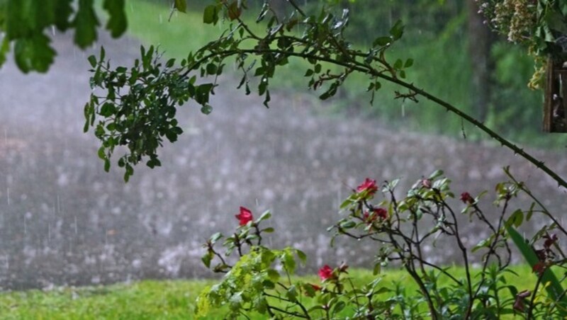 Das verlängerte Wochenende bietet viel Sonnenschein und Temperaturen über 30 Grad, das Risiko für Regen ist gering. (Bild: Alois Litzlbauer)