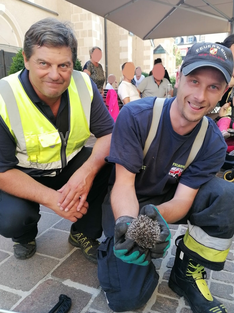 Unverletzt konnte der Igel wieder in die Freiheit entlassen werden. (Bild: Hauptfeuerwache Villach)