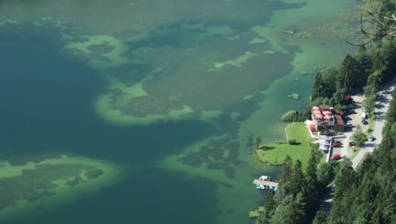 Der Reintaler See in Kramsach ist im Sommer bei Badegästen sehr beliebt. (Bild: zoom.tirol)