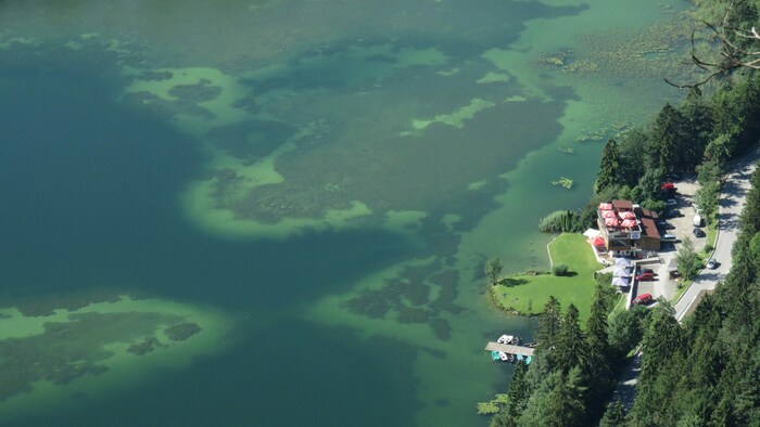 Der Reintaler See in Kramsach ist im Sommer bei Badegästen sehr beliebt.