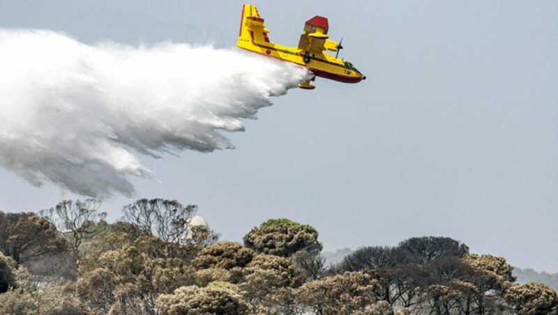 In den vergangenen Tagen mussten auch mehrere Waldbrände in Marokko bekämpft werden. (Bild: APA/AFP/FADEL SENNA)