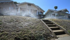 So mancher Gartenbesitzer steckt viel Zeit, Aufwand und Wasser in seine Rasenflächen - nun soll aber genau das Gegenteil belohnt werden. (Bild: AFP/Robyn Beck)