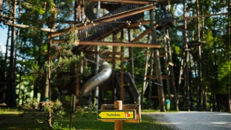 Walderlebniswelt Baumwipfelpfad am Klopeiner See. (Bild: SUEDKAERNTEN)