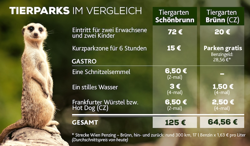 (Bild: Tierpark Schönbrunn, Tierpark Brünn, stock.adobe.com, Krone KREATIV)