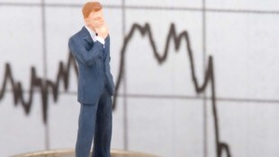 Kleinere Anleger setzen vor allem auf große Firmen. (Bild: stock.adobe.com/Stefan Redel)
