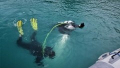 Taucher befestigten Hebeballone am versunkenen Boot. (Bild: Wasserrettung Litzlberg)