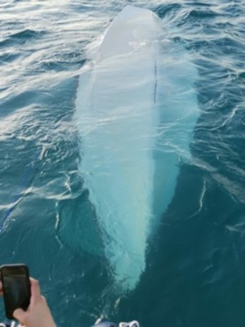 Der Mast des Segelbootes ragte senkrecht nach unten ins Wasser. (Bild: Wasserrettung Litzlberg)