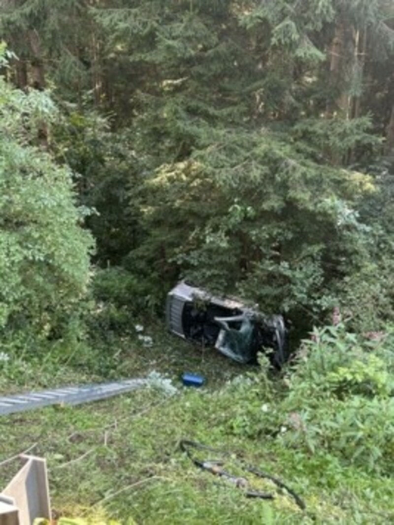 Das Auto wurde zum Glück von Bäumen aufgehalten. (Bild: zVg)