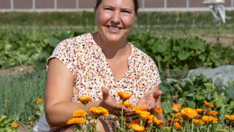 Rosina Feldinger bertreibt das Biofeld, das sie in Wals in Parzellen verpachtet (Bild: Camera Suspicta / Susi Berger)