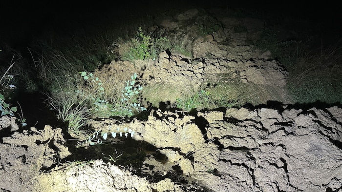 Die Hangrutschung in Buchenort