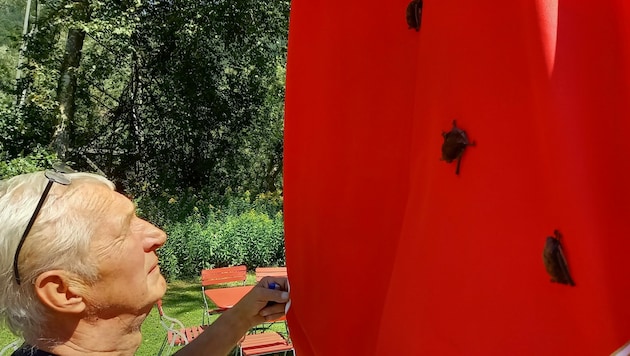 Wirt und Gäste sind von den kleinen Besuchern fasziniert. (Bild: Günther Gasper)