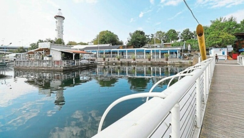 Auch die Fußgänger-Brücke über die Donau wird ganzjährig geöffnet. (Bild: Groh Klemens)