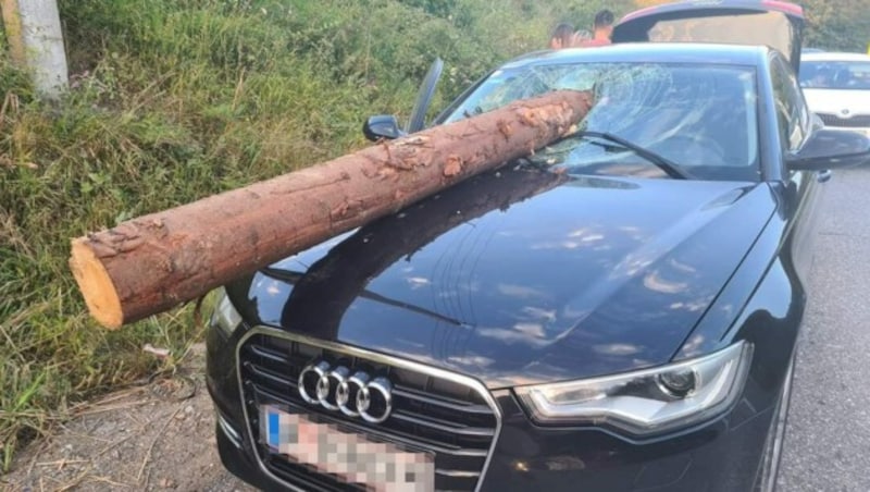 Schreckliche Bilder: Der Baumstamm schlug aber glücklicherweise genau zwischen Fahrer und Beifahrer ein. (Bild: Brasov.net)