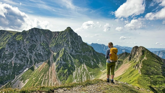 Traum-Panorama in den Eisenerzer Alpen (Bild: Weges)