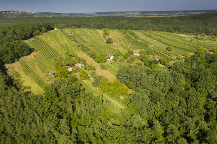 Csaterberg