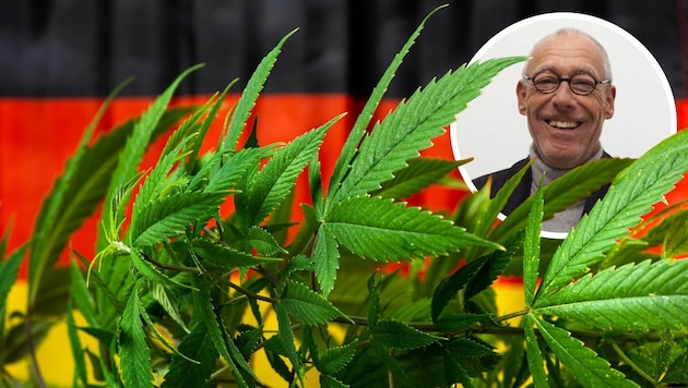 Ralf Kannheiser, Gründer von „Hanf im Glück“, findet den Gesetzesentwurf zur Cannabis-Freigabe wenig geglückt. (Bild: creativefamily - stock.adobe.com, Hanf im Glück, Krone KREATIV)