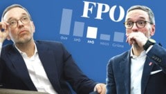 Die FPÖ ist im Umfrage-Hoch - mit Herbert Kickl koalieren will jedoch niemand ... (Bild: APA/WERNER KERSCHBAUMMAYR, Klemens Groh, Krone KREATIV)