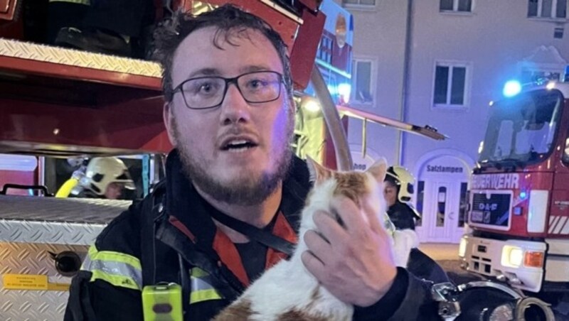 Neben den Bewohnern konnte in Wiener Neustadt auch eine Katze aus den Flammen gerettet werden. (Bild: FF Wiener Neustadt)
