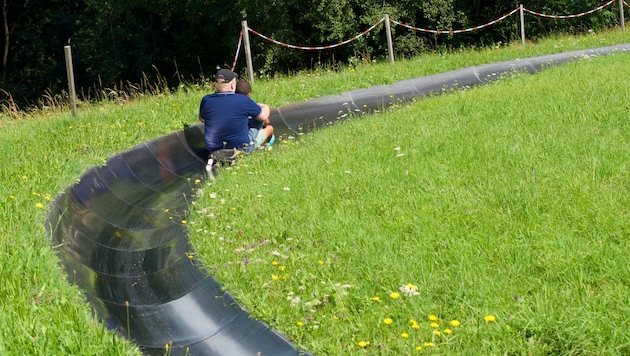 Beim Sommerrodeln (Symbolbild) in Biberwier zogen sich Vater und Sohn Verletzungen zu. (Bild: Richtsteiger / stock.adobe.com)