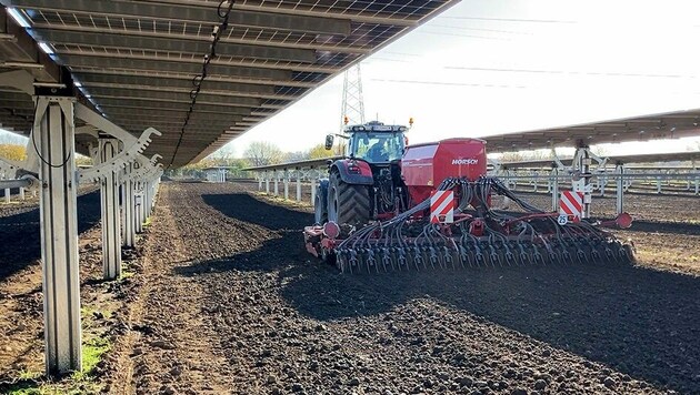 Die beiden Solarparks sollen als Agri-PV ausgeführt werden, wodurch eine Nutzung des Bodens weiter möglich sein soll. (Bild: EWS Consulting GmbH, EWS Sonnenfeld®)