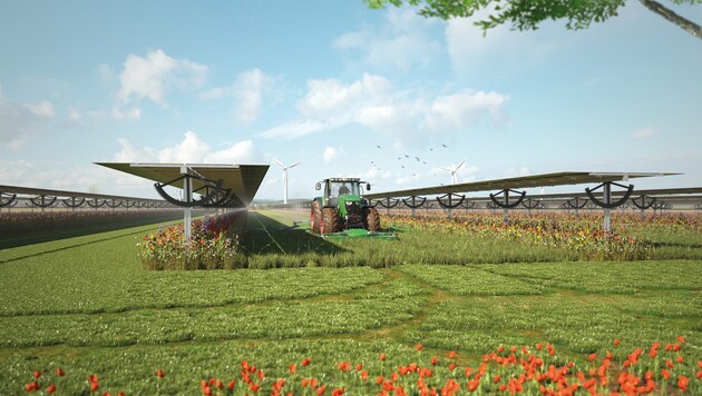 Zumindest in Unterpullendorf dürfte die Agri-PV-Anlage Realität werden. (Bild: EWS Consulting GmbH, EWS Sonnenfeld®)