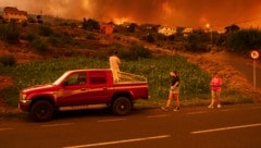 Auf Teneriffa wurden bereits über 11.000 Hektra Wald zerstört. (Bild: AP)