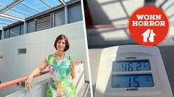 Donaucity-Bewohnerin Petra C. kann nicht mehr und ist verzweifelt. (Bild: Privat, Krone KREATIV)