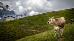 In den Schweizer Bergen werden Minusgrade vergeblich gesucht. (Bild: Reinhard - stock.adobe.com)