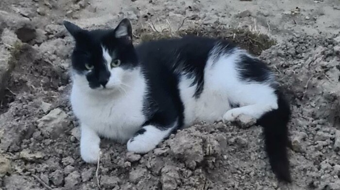 „Lilli“ rund zwei Wochen vor dem feigen Angriff.