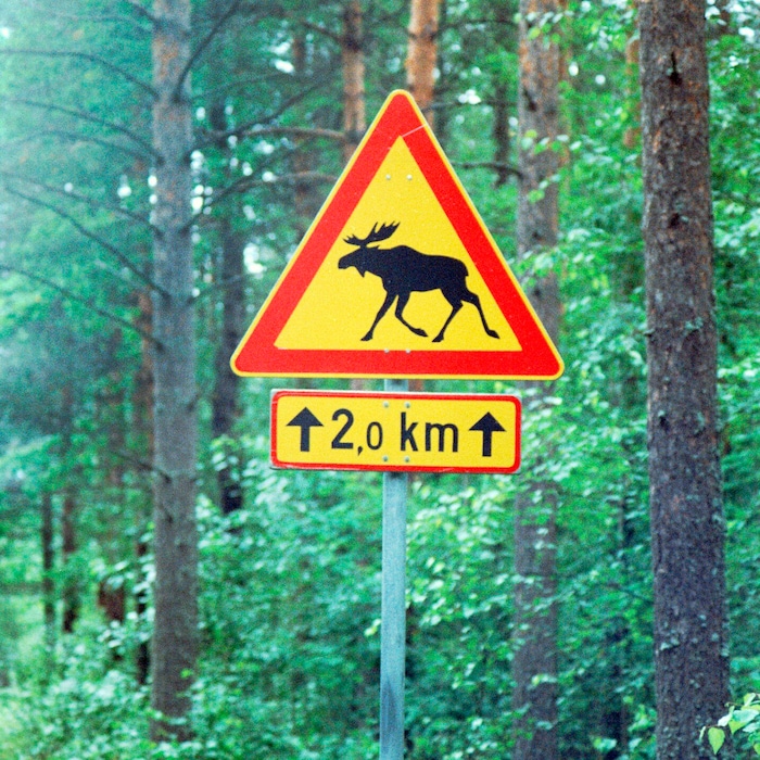 Nordische Länder – hier Finnland – gewinnen an Beliebtheit