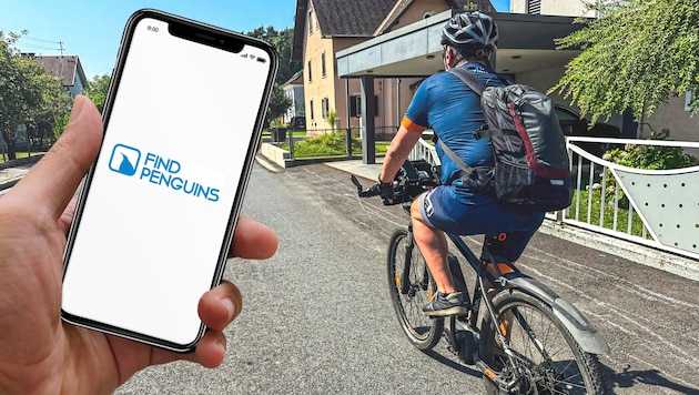 Die FindPenguins-App gibt es für iPhone iOS und Android-Smartphones. (Bild: Wallner Hannes)