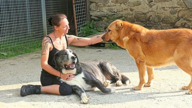 Sissy Lippitz widmet ihr Leben den Herdenschutzhunden. (Bild: Fischer Claudia)