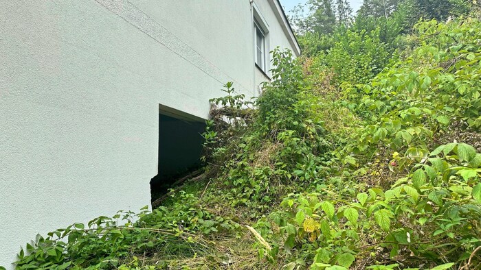 „Wir wurden durch lautes Klopfen aus dem Schlaf gerissen!“