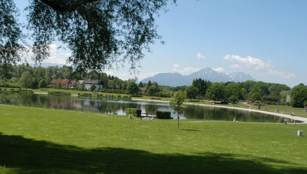 The thief was out and about at the Lieferinger bathing lake. (Bild: Stadt Salzburg)