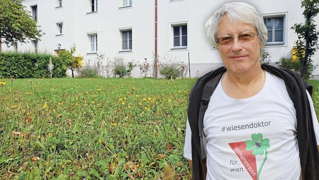 Helmut Chrobak ist Initiator des Wildblumenrasens. (Bild: Groh Krone KREATIV,)