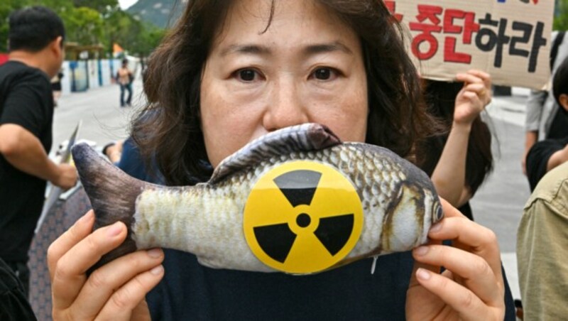 Besorgter Protest gegen verseuchten Fisch auch in Südkorea (Bild: Jung Yeon-je / AFP)